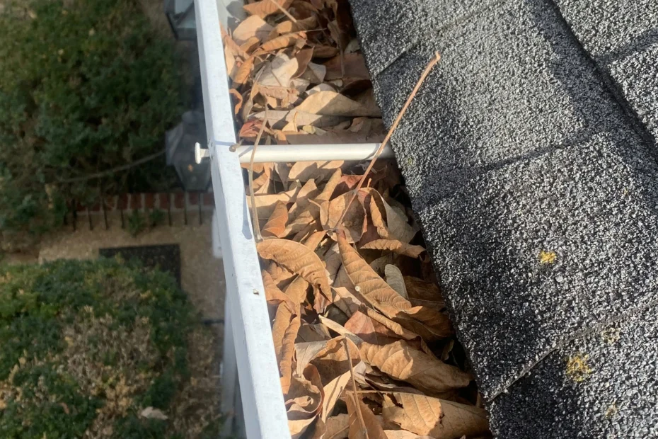 Gutter Cleaning Essex