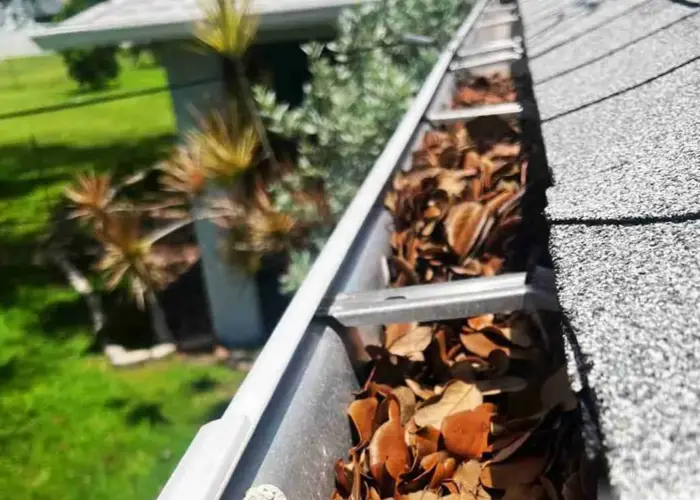 Gutter Cleaning Essex home page